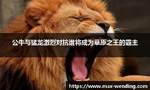 公牛与猛龙激烈对抗谁将成为草原之王的霸主
